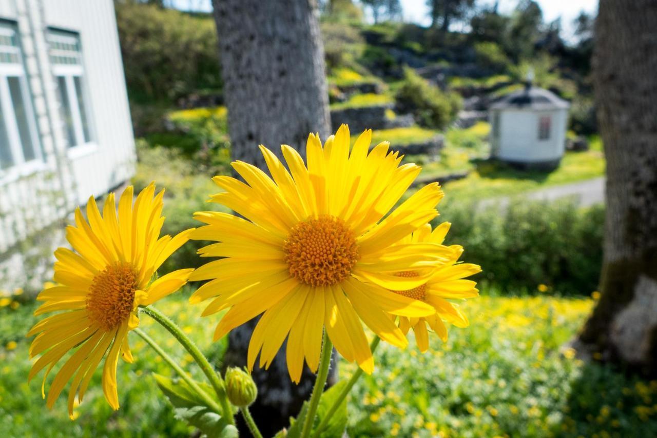 Lofoten Sommerhotell Og Vandrerhjem Kabelvåg المظهر الخارجي الصورة